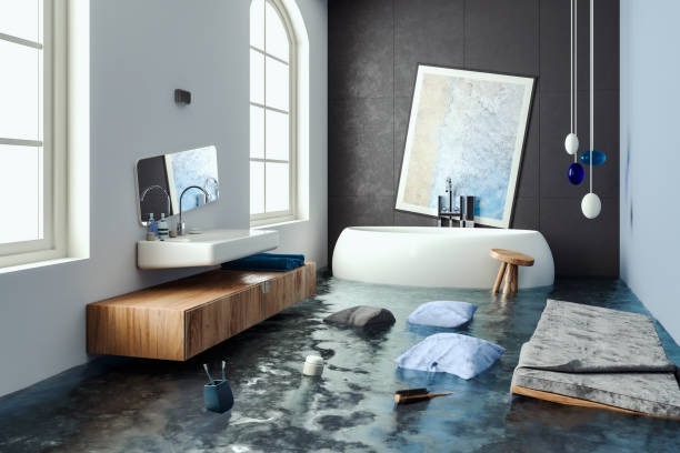 Best Carpet water damage restoration  in Vienna, GA