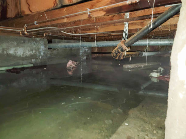 Sewage cleanup and water damage restoration in Vienna, GA