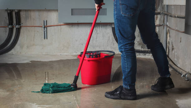 Best 24-hour water damage restoration  in Vienna, GA