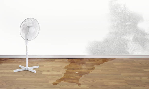 Best Ceiling water damage repair  in Vienna, GA