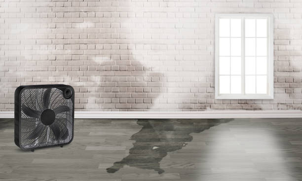 Best Water damage restoration near me  in Vienna, GA