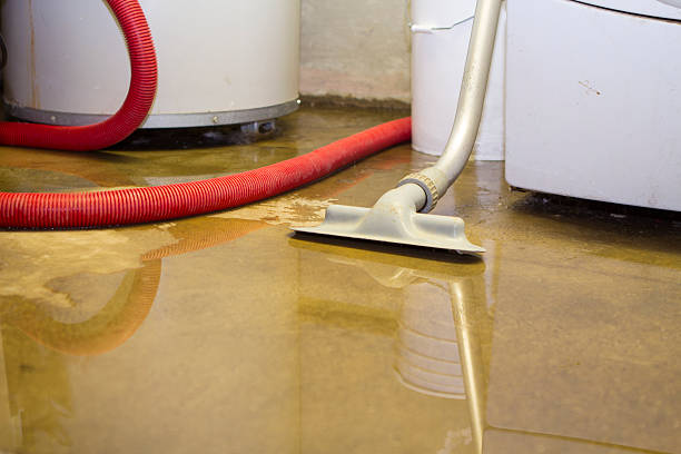 Water damage restoration insurance claims