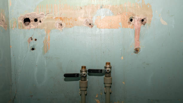 Best Flooded house restoration  in Vienna, GA