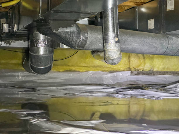Best Carpet water damage restoration  in Vienna, GA