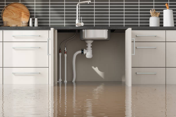 Trusted Vienna, GA Water damage restoration Experts