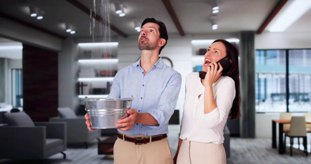 Best Flooded house restoration  in Vienna, GA