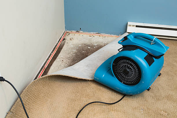 Carpet water damage restoration in Vienna, GA